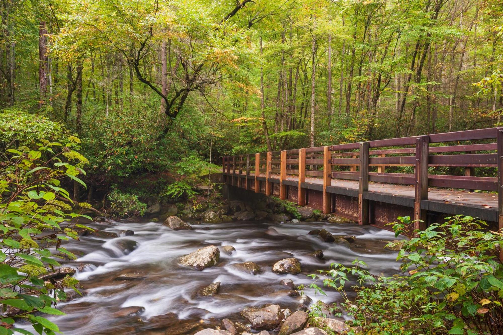 Ober Hideaway, Hot Tub, Wifi, 1089 Free Tickets Each Paid Day, Dollywood And More جاتلينبرج المظهر الخارجي الصورة