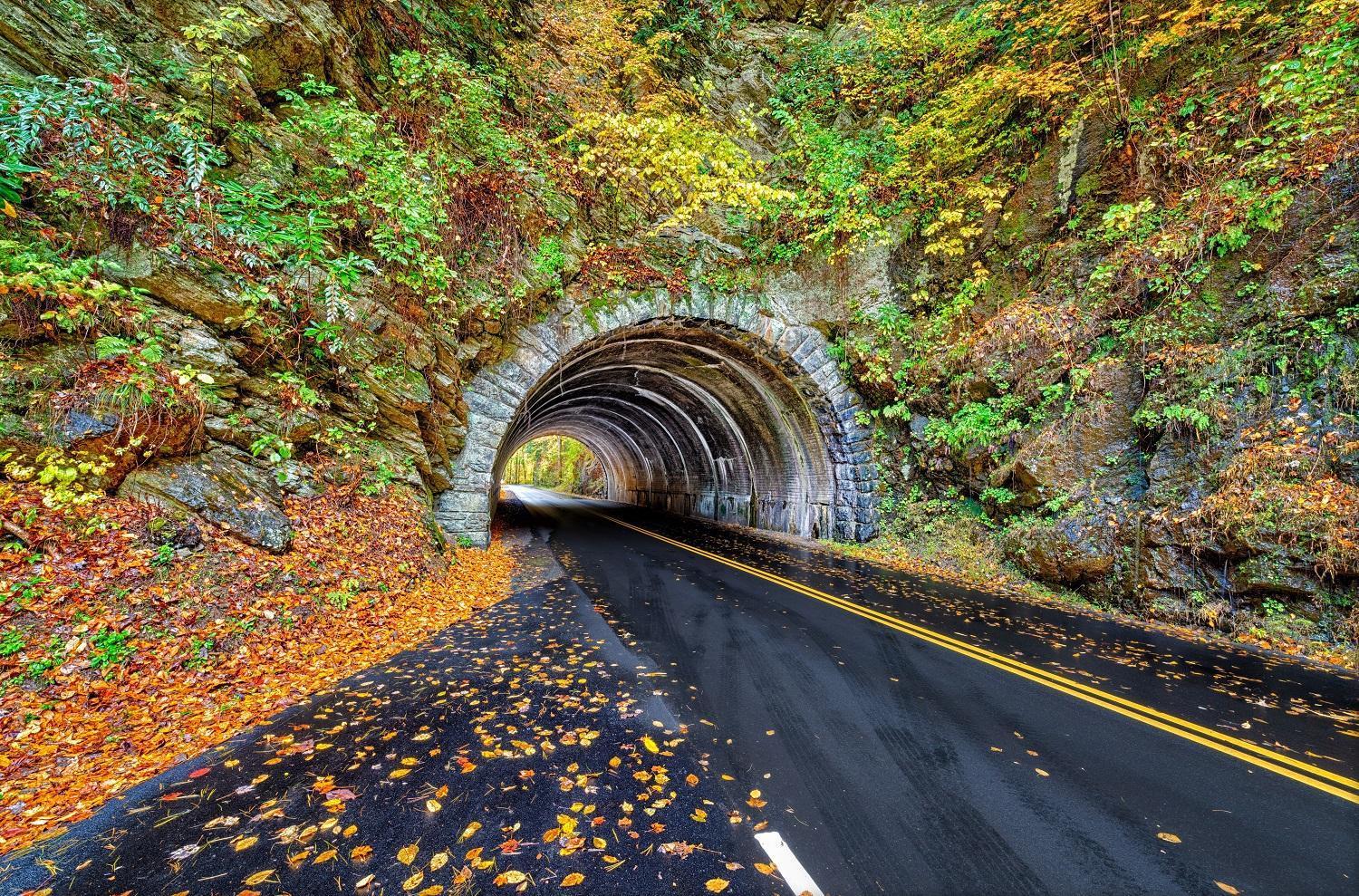 Ober Hideaway, Hot Tub, Wifi, 1089 Free Tickets Each Paid Day, Dollywood And More جاتلينبرج المظهر الخارجي الصورة
